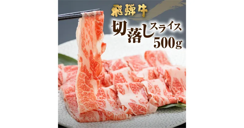 【ふるさと納税】《簡易包装》《訳あり》飛騨牛 切り落とし スライス 500g (250g × 2 小分け ) 焼肉 牛肉 肉 不揃い わけあり ワケアリ 部位おまかせ 焼き肉 黒毛和牛 和牛 国産 すき焼き 肉じゃが 炒め物 個包装 ［Q1020x］12000円