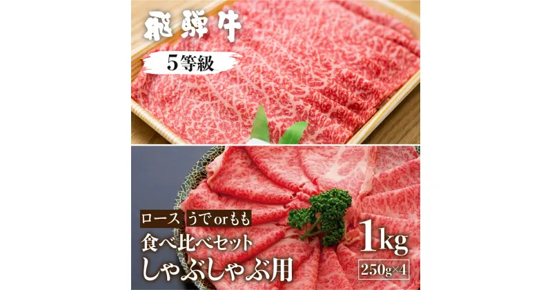 【ふるさと納税】飛騨牛ロース・うでもも食べ比べセット　計1kg(250g×4) しゃぶしゃぶ用 国産牛 国産 牛肉 肉 厳選 熟成 贈答用 肉の沖村 [Q1091]