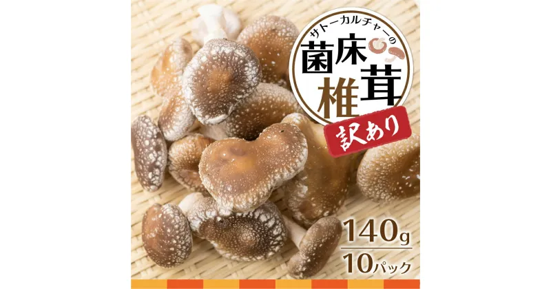 【ふるさと納税】《2024年11月から発送 先行予約》訳あり 菌床しいたけ 1.4kg 140g×10パック 訳アリ ワケアリ わけあり 不揃い 椎茸 きのこ 小分け 個包装 訳あり 岐阜県飛騨市 サトーカルチャー［Q1114］10000円 《hida0307》