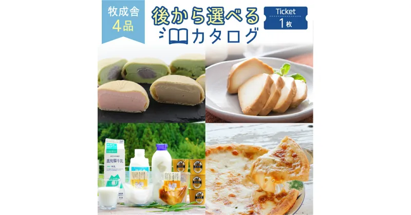 【ふるさと納税】後から選べるカタログチケット 乳製品 1セット分 チーズ ヨーグルト 牛乳 ピザ 詰め合わせ セット 定期便 飲むヨーグルト