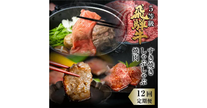 【ふるさと納税】定期便 全12回 飛騨牛 5等級 しゃぶしゃぶ すき焼き 焼肉 お楽しみ定期便 12ヵ月 ロース もも うで 食べ比べ 国産牛 国産 牛肉 肉 厳選 熟成 肉の沖村 [Q1206]