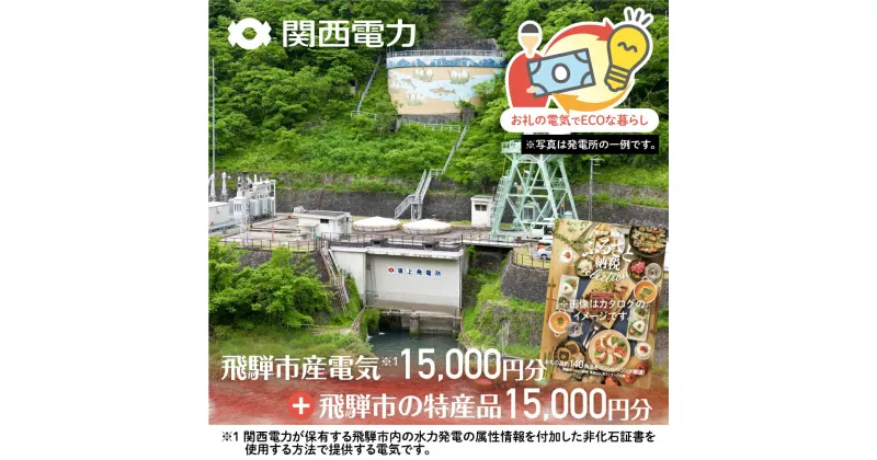 【ふるさと納税】ふるさとECOプラン from 飛騨市　水と森ゆたかな岐阜県飛騨市産のCO2フリーの電気と飛騨市の特産品カタログ 関西電力