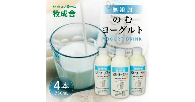 【ふるさと納税】牧成舎 ミルクと砂糖、乳酸菌だけの飲むヨーグルト4本 のむヨーグルト 乳製品 《hida0307》