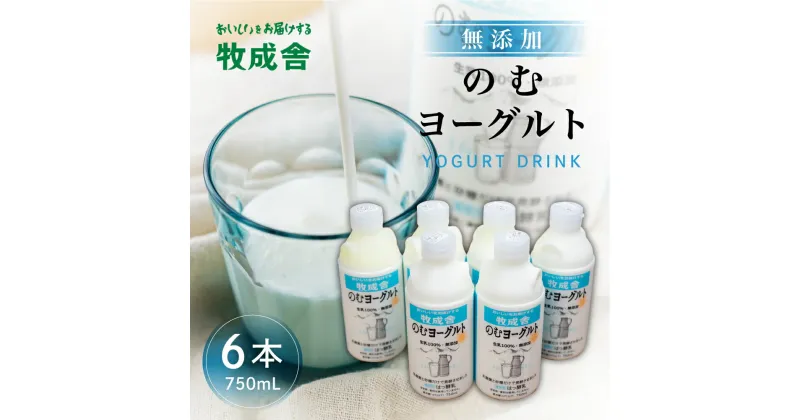 【ふるさと納税】牧成舎 ミルクと砂糖、乳酸菌だけの飲むヨーグルト6本 のむヨーグルト 乳製品[Q1261]