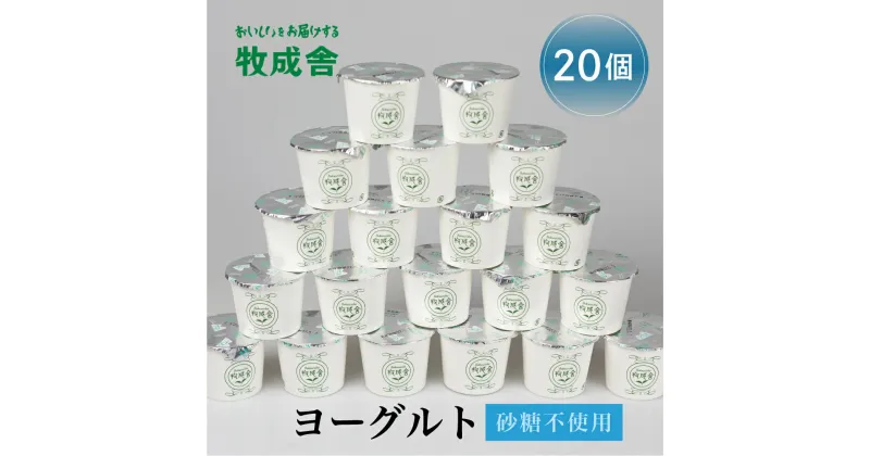 【ふるさと納税】飛騨産ミルクと乳酸菌だけのプレーンヨーグルト20個 砂糖不使用 牧成舎 《hida0307》