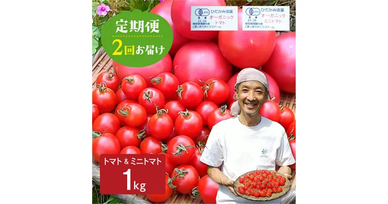 【ふるさと納税】《令和7年産先行予約》トマト・ミニトマト 1kg 2回定期便 野菜 有機栽培 とまと 産地直送 夏野菜 ［Q1300］ 《hida0307》