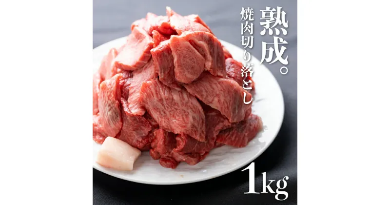 【ふるさと納税】飛騨の牧場で育った熟成飛騨牛『山勇牛』 焼肉 切り落とし 1kg 切落し 訳あり 訳アリ わけあり ワケアリ 不揃い ミックス 希少部位入り A4・A5ランク飛騨牛 牛肉 肉 和牛 国産