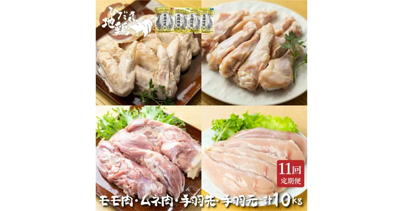 【ふるさと納税】鶏肉 定期便 お楽しみ 地鶏 定期便11回 飛騨地鶏 モモ肉 手羽元 手羽先 ムネ肉 1kg×11回 国産 国産地鶏[Q2620] 100000円 10万円