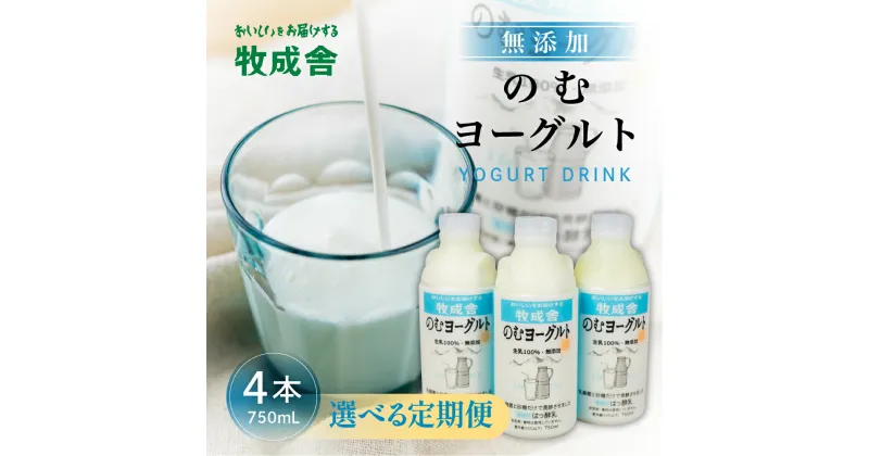 【ふるさと納税】回数選べる定期便 牧成舎 ミルクと砂糖、乳酸菌だけの飲むヨーグルト4本 定期便 12回 6回 3回 定期便 12か月 6か月 3か月 のむヨーグルト 乳製品 定期便 お楽しみ 3ヵ月 《hida0307》