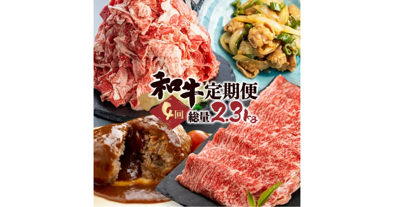 【ふるさと納税】「和牛定期便」定期便 4回 お楽しみ 牛肉 切落し 切り落とし ホルモン もつ 焼肉 ハンバーグ レトルト しゃぶしゃぶ 個包装 国産和牛 総重量2.3kg 訳あり わけあり ワケアリ 40000円 4万円 《hida0307》