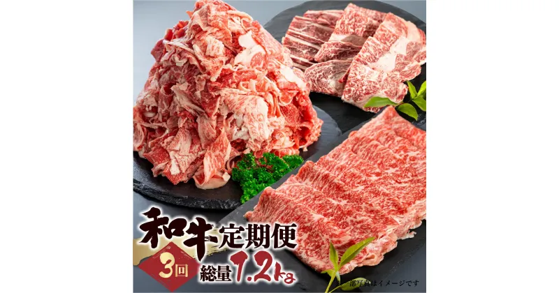 【ふるさと納税】和牛 定期便 3回 総重量 1.2kg お楽しみ スライス すきやき しゃぶしゃぶ 焼肉 切り落とし 牛肉 切落し 切り落とし 不揃い ふぞろい 訳あり ワケアリ 訳アリ ホルモン もつ BBQ 焼肉 個包装 国産和牛 30000円 3万円