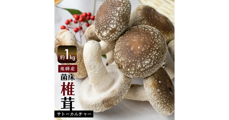 【ふるさと納税】《先行予約》菌床しいたけ 1kg 約100g×10パック 枚数おまかせ 国産 椎茸 シイタケ 生しいたけ きのこ キノコ 鍋 すきやき すき焼き ［Q2368wx］10000円 《hida0307》