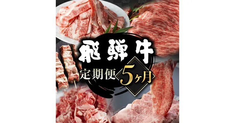 【ふるさと納税】飛騨牛 定期便 5か月 （ スライス すき焼き しゃぶしゃぶ 焼肉 牛串） 5回 定期便 お楽しみ 食べ比べ 牛肉 肉 お肉 和牛 人気 定期 [Q1675x]85000円