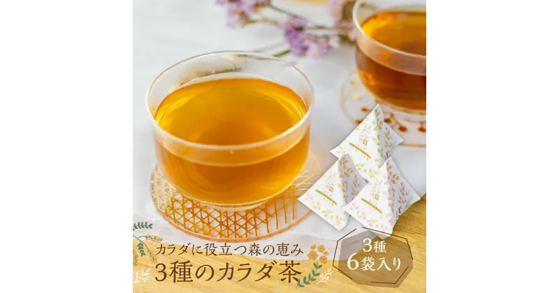 【ふるさと納税】100％飛騨産の薬草を使用 三種のカラダ茶 3種6袋 お茶 ティーパック 野草茶 ギフト プレゼント 贈り物 自然派 健康志向 [Q1161]《hida0307》