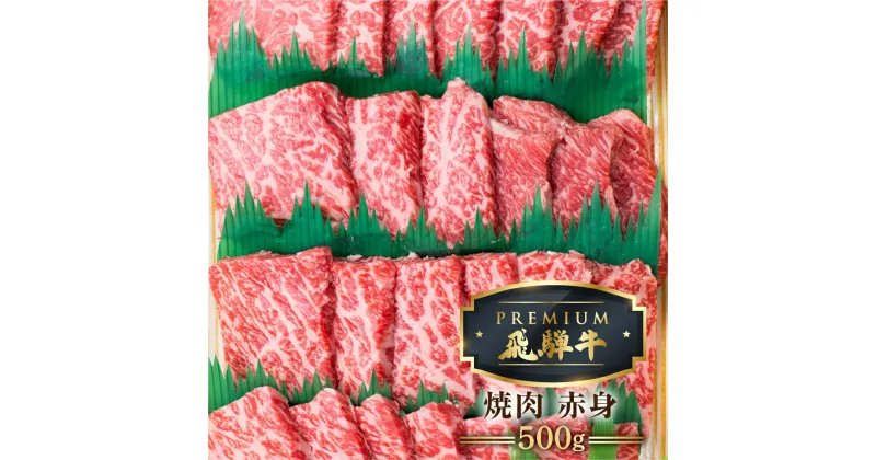 【ふるさと納税】最飛び牛 飛騨牛 赤身 焼肉 500g 5等級 A5 うでorもも 牛肉 和牛 ブランド牛 プレミアム ごちそう 贅沢飛騨牛 肉の沖村[Q1694]