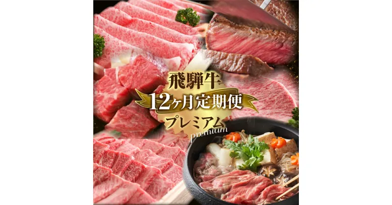 【ふるさと納税】定期便 プレミアム飛騨牛12回お届けロングコース 牛肉 肉 和牛 国産 すき焼き 焼肉 ステーキ しゃぶしゃぶ 切り落とし サイコロステーキ ハンバーグ 肉まん お楽しみ［Q1794］400000円 40万円