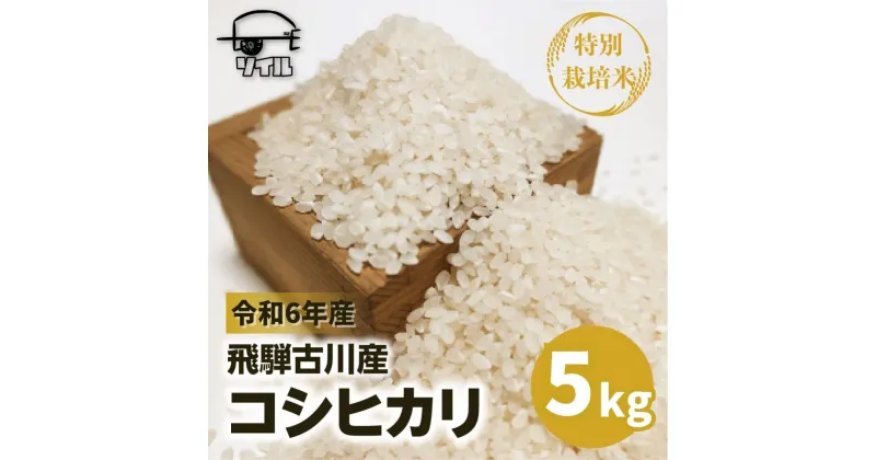 【ふるさと納税】令和6年産【2025年先行予約】令和7年産 新米 飛騨古川産　特別栽培米　こしひかり 5kg コシヒカリ 新米 お米 米 精米 ごはん ご飯 特A 米不足 2024 飛騨市