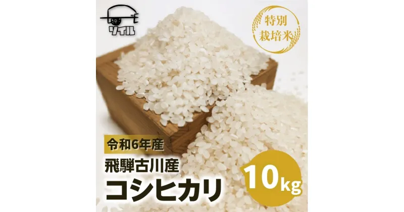 【ふるさと納税】令和6年産 【2025年先行予約】令和7年産 新米 飛騨古川産　特別栽培米　こしひかり 10kg コシヒカリ お米 米 精米 ごはん ご飯 特A 米不足 2024 飛騨市