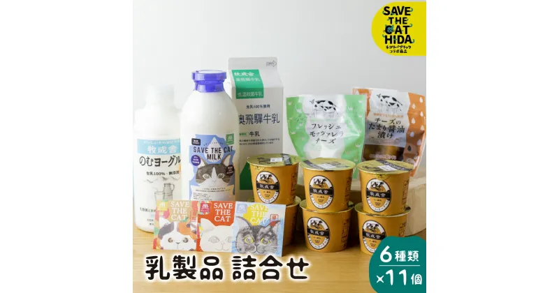 【ふるさと納税】にゃんにゃん乳製品セット 牛乳 飲むヨーグルト 生クリームヨーグルト モッツァレラチーズ 牧成舎 福袋 詰め合わせ (猫 保護猫 飛騨 SAVE THE CAT HIDA支援) ねこ ネコ プレゼント ギフト かわいい 可愛い [neko_j6]