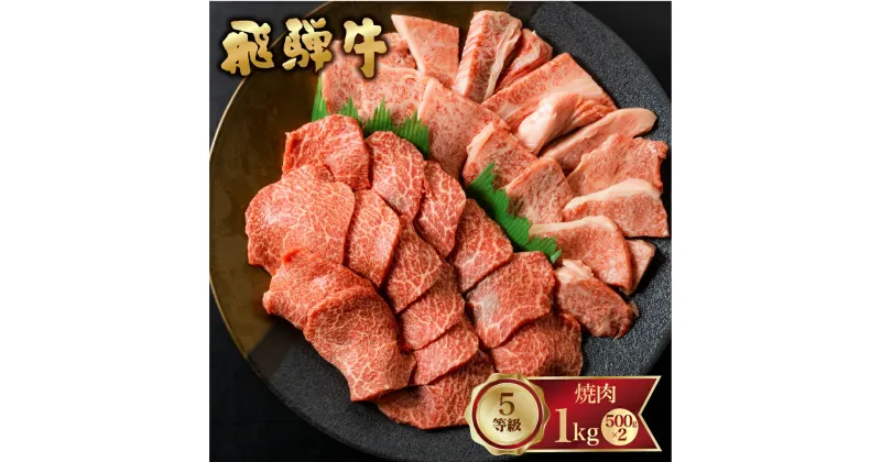 【ふるさと納税】飛騨牛 霜降り(ロース・カタロース)/赤身(モモ・カタ)　焼肉 計1kg 500g×2 バーベキュー BBQ やきにく A5 5等級 肉 牛肉 和牛 国産 食べ比べ 冷凍 [Q1978x] 65000円