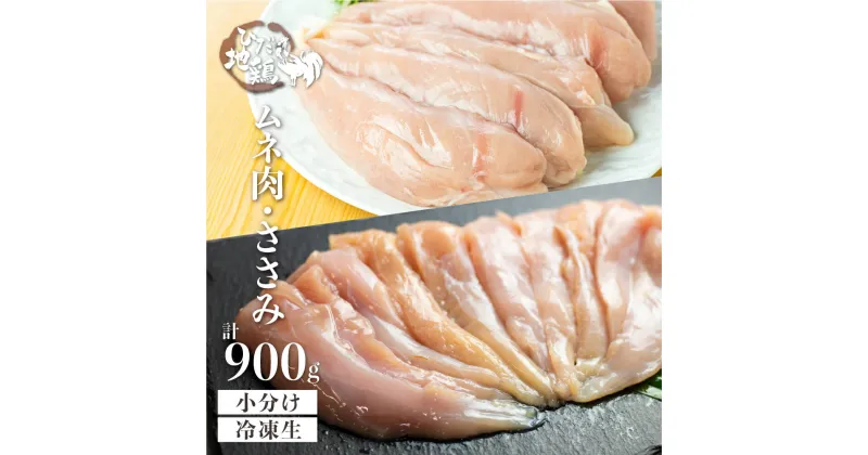 【ふるさと納税】鶏肉 ささみ むね肉 計900g 飛騨地鶏 地鶏 鶏むね肉 ムネ肉 冷凍 小分け ヘルシー BBQ 唐揚げ チキン南蛮 カレー シチュー 煮物 チキンサラダ[Q2630] 10000円 1万円