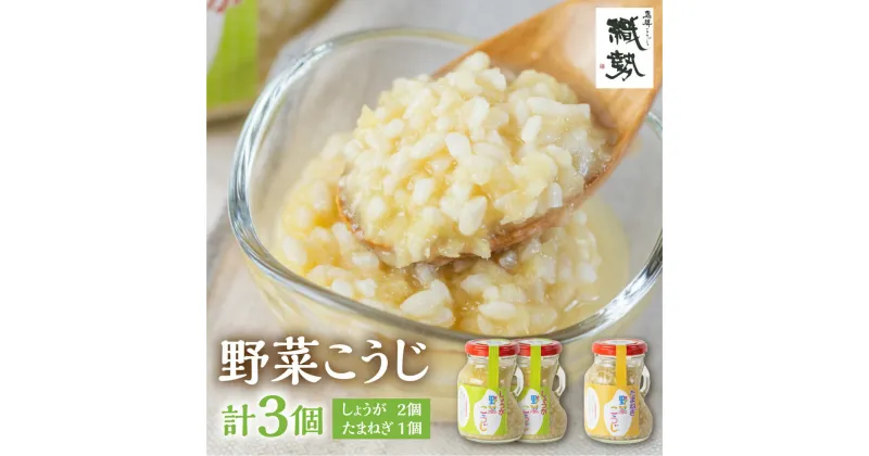 【ふるさと納税】野菜麹 野菜こうじ 飛騨こうじ しょうが2個 たまねぎ1個 計3セット 米麹 米こうじ 生麹 発酵[Q1975]