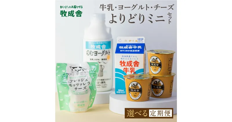 【ふるさと納税】乳製品 選べる定期便 2回 4回 6回 ＜牧成舎＞牛乳 ヨーグルト チーズ よりどりミニセット 4種 飛騨産生乳で作ったこだわりの乳製品セット 単身用 一人暮らし 2人暮らし ギフト まとめ買い [Q1940]《hida0307》