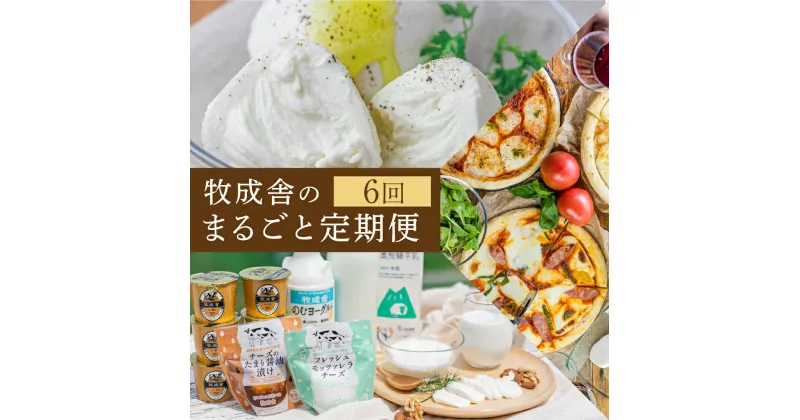 【ふるさと納税】乳製品 定期便 6回＜牧成舎＞牛乳 ヨーグルト チーズ ピザ ソーセージ 牧成舎の商品をまるごと楽しむ 定期便 お楽しみ お任せ 訳あり わけあり [Q1942x]50000円