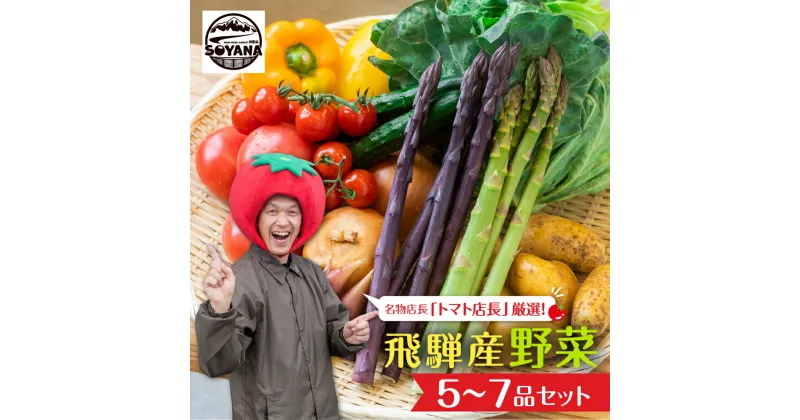 【ふるさと納税】【先行予約】2024年7月からお届け！旬の野菜の定期便 飛騨産直市そやな直送 トマト店長厳選 飛騨産 旬の野菜セット 5-7品 野菜セット 定期便 2回 3回 おまかせ 詰め合わせ 産地直送 《hida0307》