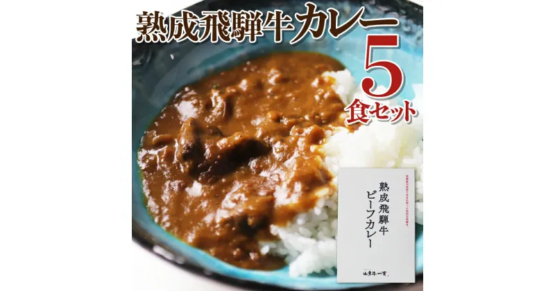 【ふるさと納税】熟成飛騨牛カレー レトルト 詰め合わせ 5食セット 国産和牛カレー 観光地応援 熨斗対応 レトルトカレー 保存食 常備食 ビーフカレー [Q2014] 18000円