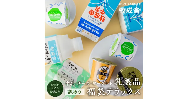 【ふるさと納税】訳あり 福袋 ＜牧成舎＞乳製品デラックスセット 牛乳 ヨーグルト チーズ お任せ 飛騨産生乳で作ったこだわりの乳製品セット まとめ買い 牧成舎 [Q2209]