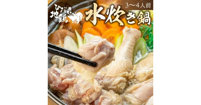 【ふるさと納税】鍋 セット 水炊き鍋 3〜4人前 鶏しお鍋 飛騨地鶏 スープ付 ラーメン付 モモ肉 手羽元 グルメ お鍋 [Q2217wx]10000円 1万円 《hida0307》