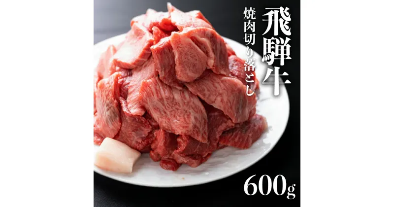 【ふるさと納税】【訳あり】飛騨牛 焼肉用切り落とし 600g 焼肉 やきにく 焼き肉 牛肉 和牛 国産 肉 熨斗掛け ギフト スライス 不揃い 切落し きりおとし わけあり ワケアリ［Q2281］