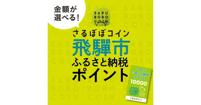 【ふるさと納税】さるぼぼコイン　飛騨市ふるさと納税ポイント [Q2297]