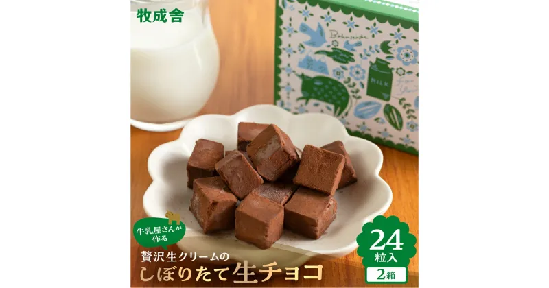 【ふるさと納税】【期間限定】生チョコレート 2箱 (1箱12粒入り) 生クリーム使用 チョコレート スイーツ 冷凍 洋菓子 ギフト 贈答 贈り物 プレゼント 牧成舎 ホワイトデー [Q2332x] 《hida0307》