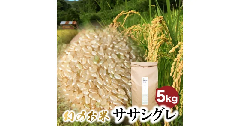 【ふるさと納税】ササシグレ 5kg 白米 玄米 令和6年産 米 ごはん お米 新米 無農薬栽培 無化学肥料栽培 サノライス [Q2331] 24000円