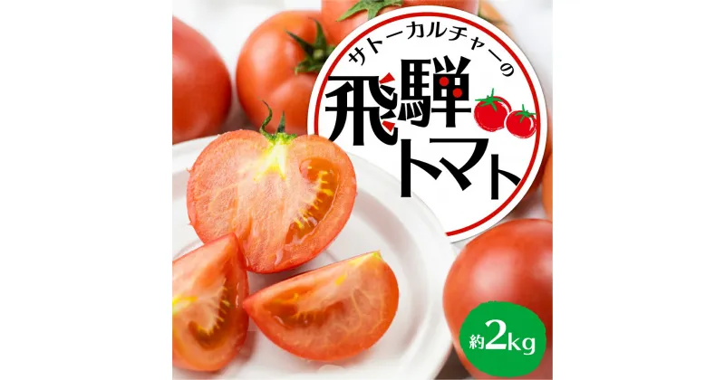 【ふるさと納税】《令和7年産先行予約》飛騨トマト 約2kg（8−10玉）産地直送 野菜 とまと トマト 麗月 夏野菜 やさい サトーカルチャー [Q2478] 10000円 一万円 1万円