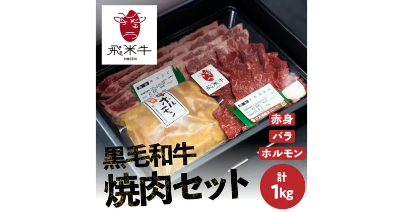 【ふるさと納税】《簡易包装》飛米牛焼肉セット 1kg 赤身 / バラ各300g×2 味付けホルモン200g×2 焼肉 焼肉セット 食べ比べ 牛肉 お取り寄せ 詰め合わせ キャンプ BBQ バーベキュー 30000円 3万円　Q2429