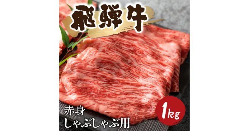 【ふるさと納税】5等級 飛騨牛 赤身 しゃぶしゃぶ用 1kg 小分け 500g × 2 牛肉 和牛 肉 国産 カタ モモ スライス 飛騨市 [Q1031_sha_1] 50000円 5万円