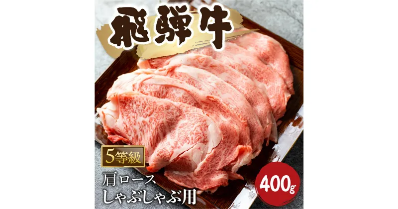 【ふるさと納税】5等級 飛騨牛霜降り しゃぶしゃぶ 400g 牛肉 和牛 カタロース [Q2479_sha_4_a5] 25000円