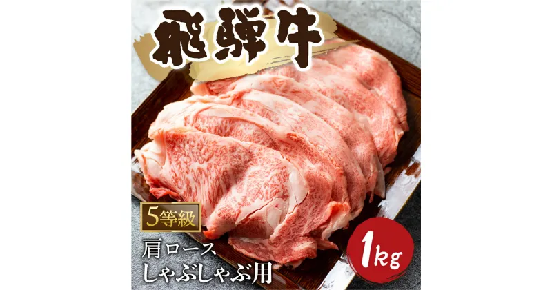 【ふるさと納税】5等級 飛騨牛霜降り しゃぶしゃぶ 500g × 2 計1kg 牛肉 和牛 カタロース [Q2479_sha_5_a5] 65000円