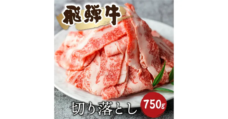 【ふるさと納税】《訳あり》飛騨牛 切り落としスライス 750g 焼肉 牛肉 黒毛和牛 和牛 すき焼き 焼き肉 訳アリ わけあり ワケアリ 不揃い 部位おまかせ 煮物 飛騨古川［Q2526］18000円