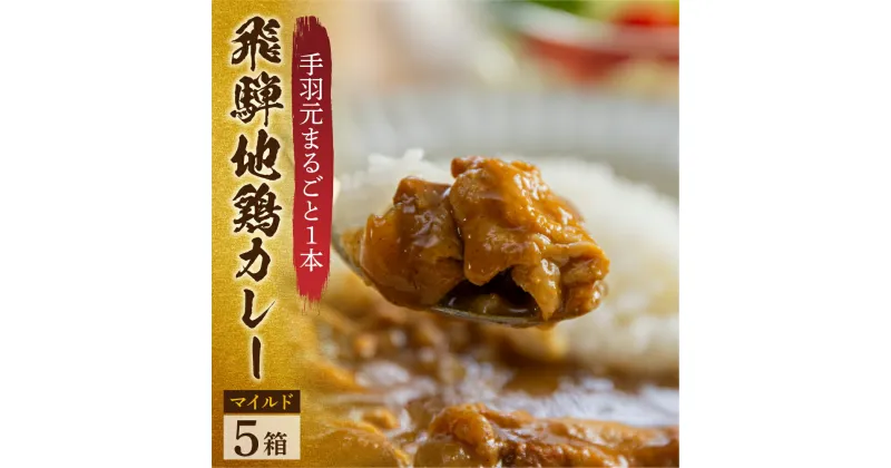 【ふるさと納税】訳あり 飛騨地鶏カレー(5袋) チキンカレー 地鶏 鶏肉 鳥 カレー マイルド レトルトカレー 人気 おすすめ おいしい 便利 飛騨 飛騨地鶏 一人暮らし 1人用 1人分 2人用 2人分 10000円 1万円 ご当地カレー 簡易包装 パウチ梱包 [Q2481]