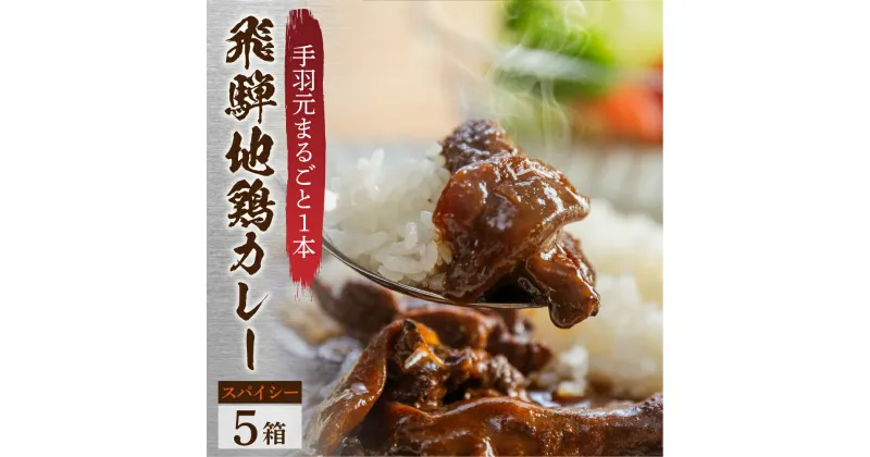 【ふるさと納税】訳あり 飛騨地鶏カレー(5袋) チキンカレー 訳あり 簡易包装 地鶏 鶏肉 鳥 カレー スパイシー レトルトカレー 人気 おすすめ おいしい 便利 飛騨 飛騨地鶏 一人暮らし 1人用 1人分 2人用 2人分 10000円 1万円 ご当地カレー 簡易包装 パウチ包装[Q2482]