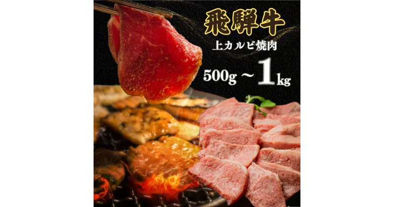 【ふるさと納税】飛騨牛 5等級 上カルビ焼肉 500g / 1kg バラ肉（ 赤身 / 霜降り ) 焼肉 牛肉 肉 焼き肉 和牛 カルビ BBQ バーベキュー 炒め物 ギフト 贈り物 飛騨岐阜人 25000円 ～