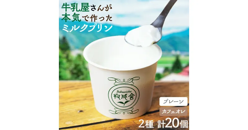 【ふるさと納税】牛乳屋さんのつくるミルクの自然なおいしさを詰め込んだ濃厚ミルクプリン2種 20個 プレーン カフェオレ お菓子 スイーツ 洋菓子 寒天 冷凍発送 卵不使用 生クリーム不使用 食べ比べ アイスクリーム 牧成舎 [Q2664]