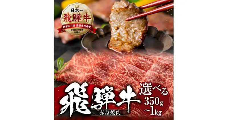 【ふるさと納税】 [A5等級] 飛騨牛 赤身 肉 焼肉 用 《 1kg 750g 500g 350g 》 『 モモ ・ カタ 肉 』 あかみ A5 a5 牛肉 肉 和牛 国産 牛 黒毛和牛 やきにく 小分け 小川ミート 本巣市 [0165] [mt215] 40000円 四万円