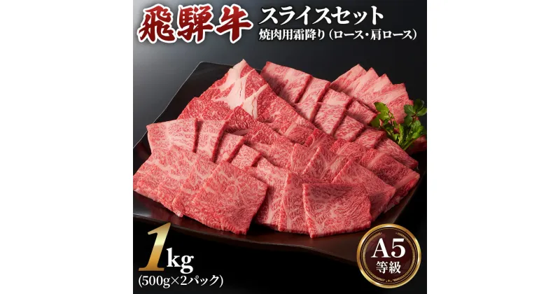 【ふるさと納税】 [A5等級] 飛騨牛 焼肉 用 1kg ( 500g × 2 パック)『 ロース ・ 肩ロース 肉 』 焼肉ロース 牛肉 肉 和牛 黒毛和牛 国産牛 やきにく スライス 焼肉用牛肉 小川ミート 本巣市 BBQ [0167] [mt217] 33000円