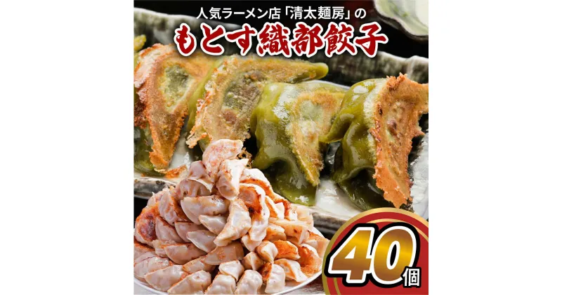 【ふるさと納税】 あっさり塩味、織部焼リスペクトの「もとす織部餃子 40個」ぎょうざ ギョウザ 冷凍 あたためるだけ お取り寄せ グルメ グルメ [mt1580] 8000円