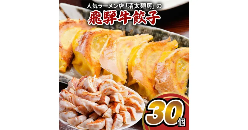 【ふるさと納税】 飛騨牛 のリッチな風味が口中に広がる！「飛騨牛餃子 30個」 餃子 ぎょうざ ギョウザ 飛騨牛 牛肉 肉 和牛 国産 冷凍 お取り寄せ [mt1582] 10000円 1万円